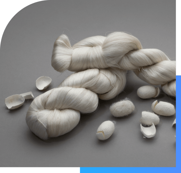Silk protein in biomedical products