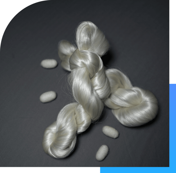 Silk protein biomaterial