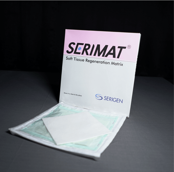 Serimat Tissue Regeneration With Silk