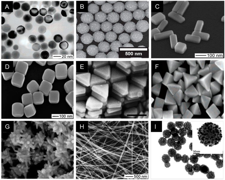 silver ions and nanoparticles