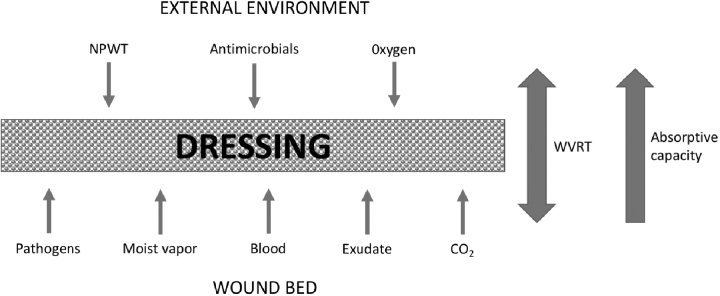 Wound micro environment